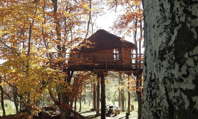 Saint-Agreve Apartment | Apartment 'La Cabane Des Fayards' with Mountain View, Private Terrace and Shared Garden