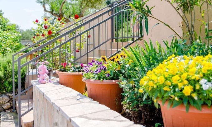 Splitska Apartment | Apartment Lili- One Bedroom Apartment with Terrace (ST)
