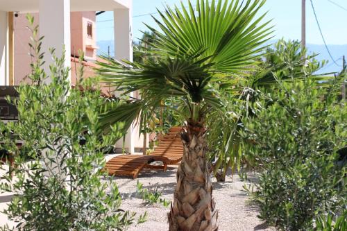Cove Basina (Jelsa) Apartment | Apartment Miran