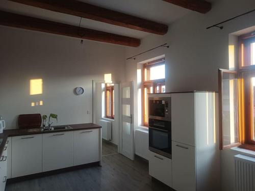 Senice na Hane Apartment | Apartment Odrlice