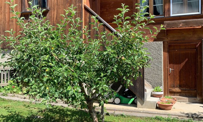Gadmen Apartment | Apartment on the farm