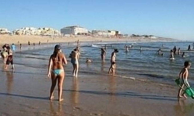 Vieira de Leiria Apartment | Apartment over the Beach and Marginal