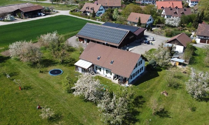 Andelfingen District Other | Apartment "Pünthof" on the farm