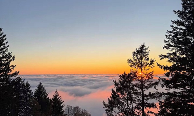 Redwood City Condo | Apartment w hot tub /forest & ocean view