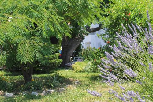 Supetarska Draga Apartment | Apartments 501 - Rab island oasis retreat