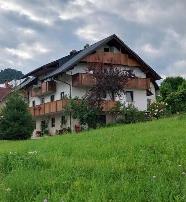 Zgornje Gorje Apartment | Apartments at Klemen