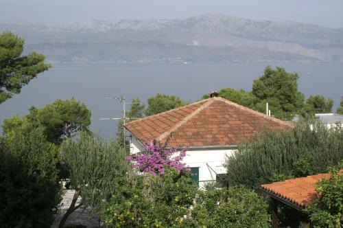 Splitska Apartment | Apartments by the sea Splitska, Brac - 2865