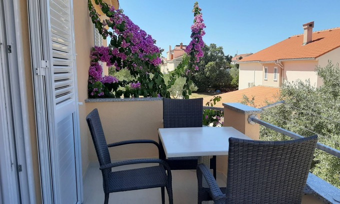 Zrce Apartment | Apartments EDO (20881-A3) - Novalja - island Pag