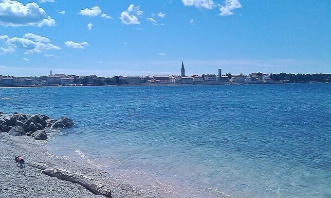Porec Apartment | Apartments Marko, (14296), Porec, hr