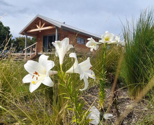 Tasman House | Āporo bach - a country retreat