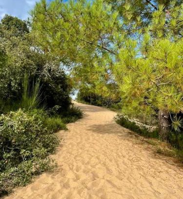 Le Chateau-d'Oleron Apartment | Appart' Islande