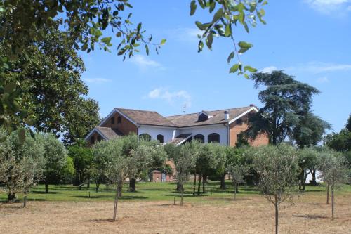 Borgo Montenero Apartment | Appartamenti La Cicadea