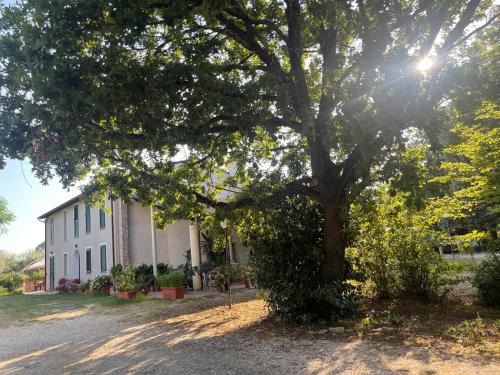 Carpena Apartment | Appartamento Danilla