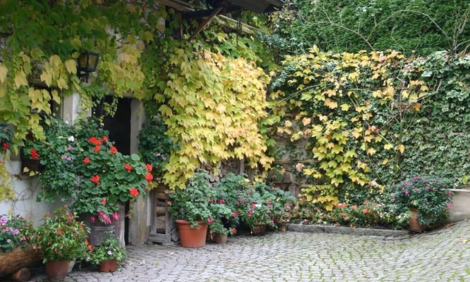 Schweighof Apartment | Appartement A3, 26qm, 1 Wohn-/Schlafzimmer, max. 2 Personen