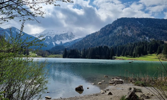 Onnion Apartment | Appartement Cosy à la Montagne - le Réconfort Après L'effort !