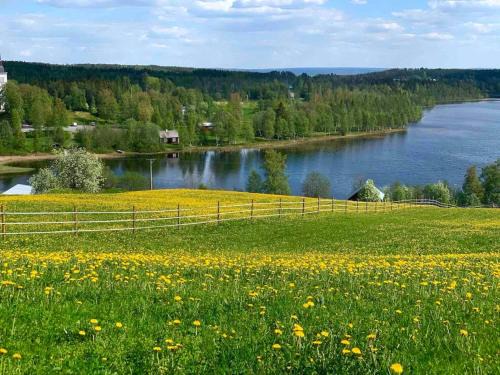 Follinge Apartment | Appartement in Jämtland bij Gusto Stables .