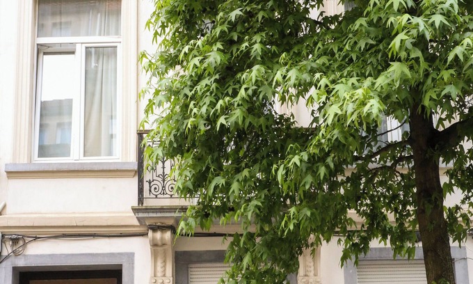 Brabantwijk Apartment | Appartement Spacieux et Complètement Rénové