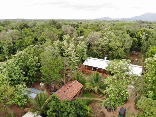 Dambulla Resort | Araliya resort dambulla with free cooking class