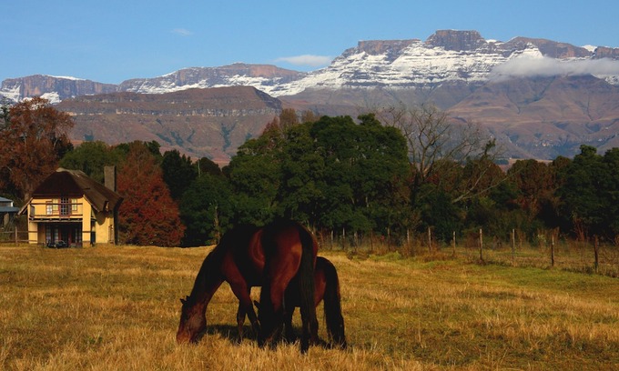 Ardmore House | Ardmore Guest Farm