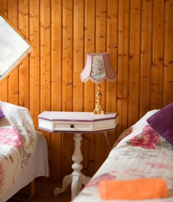 Cesis House | `Art home Baroni`