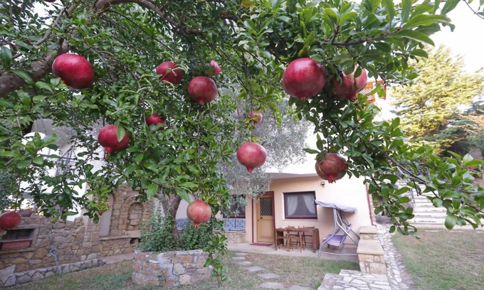 Souroti Apartment | Aslanis-Souroti Garden FAMILY Suite