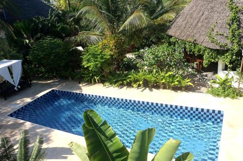 Jambiani Hotel | Aurora Boutique Hotel Jambiani