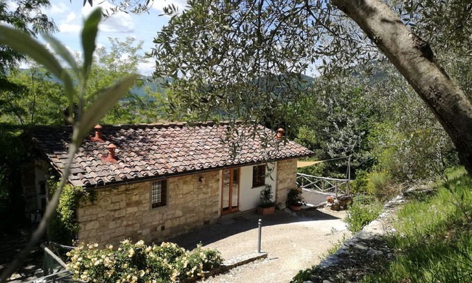 Twist House | Away from it all! Modern bungalow on Tuscan vineyard. Florence 30 minutes.