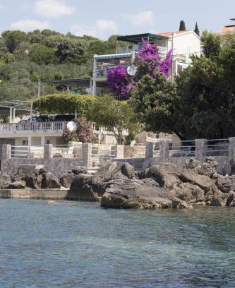 Molunat Apartment | "Azzurra Apartments