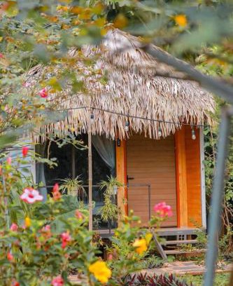 Moc Chau Other | Bó Bun Homestay Mộc Châu