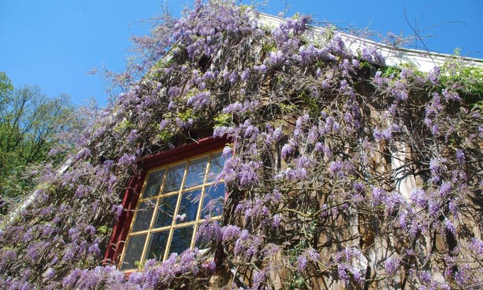 Boekelo Bed & Breakfast | B&B De Hagmolenbeek Boekelo