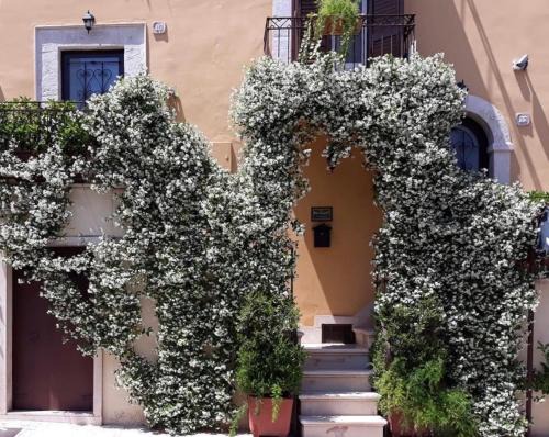 Palo del Colle Bed & Breakfast | B&B Il Principe
