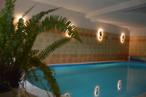 Krynica Morska Bed & Breakfast | B&B Landrynka