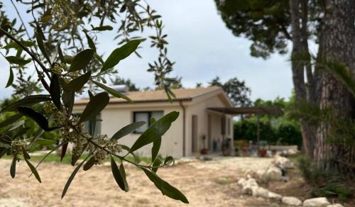 San Corrado di Fuori Bed & Breakfast | B&B Monstera SicilianExperience