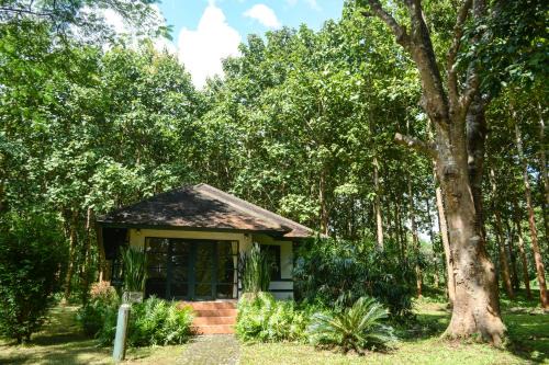 Phrao House | Baan Korbsuk Teak Cabin 1-2