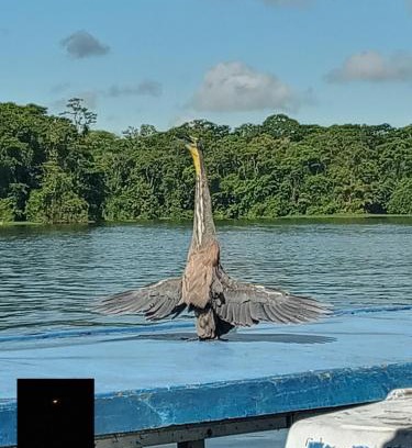 Tortuguero House | Backpakers Tortuguero Princesa del Río