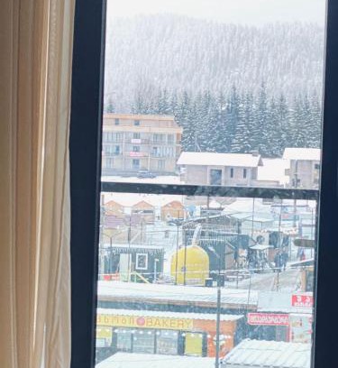 Bakuriani Apartment | BAKURIANI m25