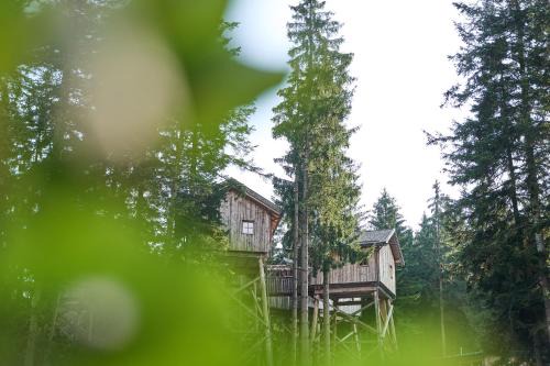 Kopfing im Innkreis Hotel | Baumhotel
