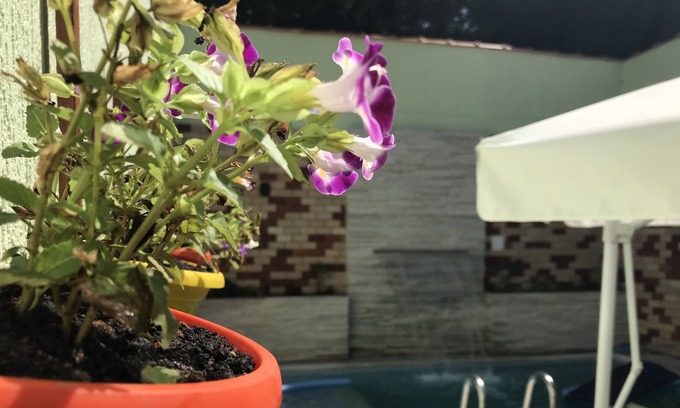 Praia Grande House | Beach and heated pool in the Diving Capital