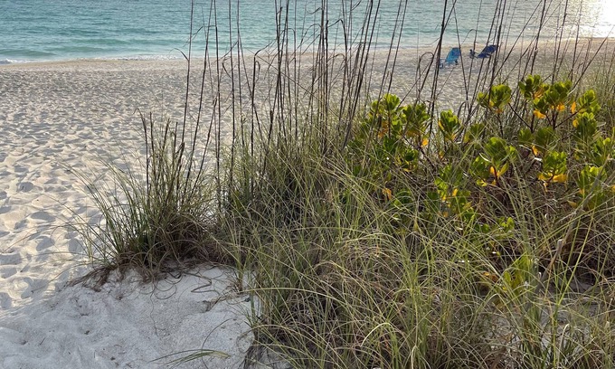 Whitney Beach House | Beach Cottage with a Private Hot Tub