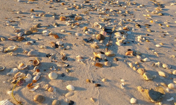 Port St. Joe House | Beach Dreams! Recently Remodeled 2 BR/2 BA sleeps (6) Non-smoking, no Pets.