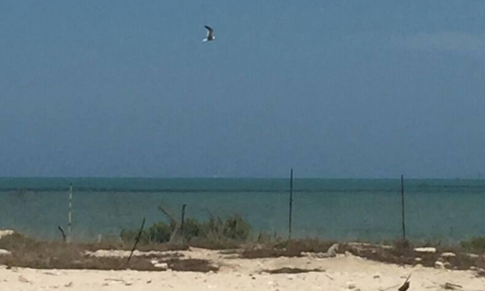 Progreso Municipality House | Beach house (2nd row) colonial home