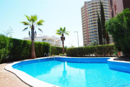 Praia da Rocha Apartment | Beach View Apartment Litoralmar