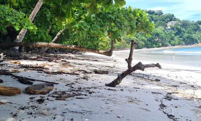 Punta Leona Apartment | Beachfront condo - 16th floor whith stunning forest view. Steps to the beach.