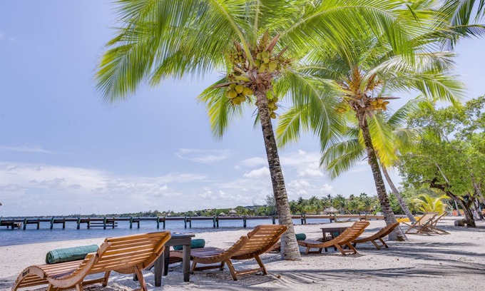 Cocoplum Condo | Beachfront Condo: Pool,Sleeps 6,Ocean View,112