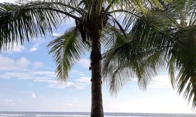 Bejuco Apartment | Beachfront Penthouse Condo with Amazing SunsetViews