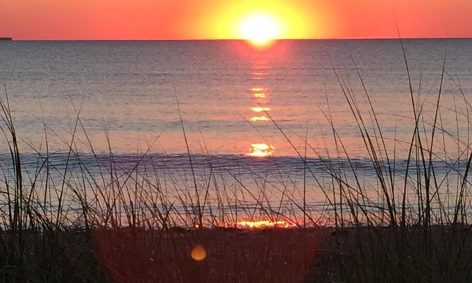 Delaware Beaches House | BEACHFRONT RENTAL An artist's house on a dune in a wildlife sanctuary.