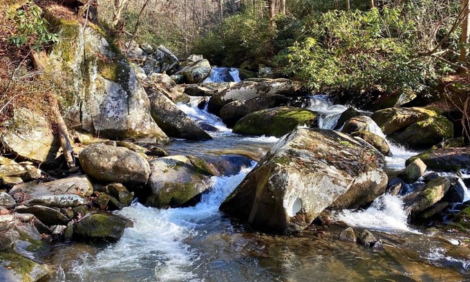 Santeetlah Ski Chalet | Bear's Mountaintop View /Lake Santeetlah /Smokey Mountains
