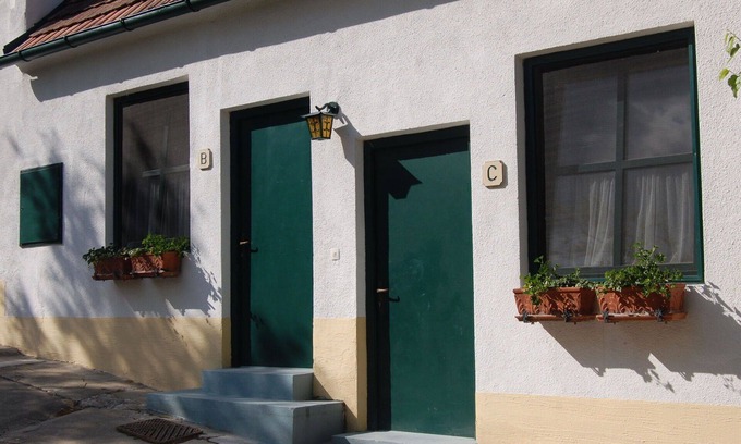 Morbisch am See Apartment | Beautiful apartment for 3 people with WIFI, TV and terrace
