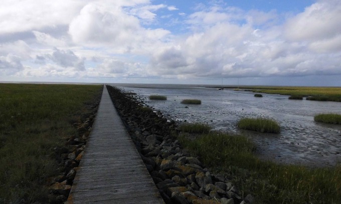 Cappel-Neufeld Apartment | Beautiful non-smoking vacation apartment on the dike for up to 3 people