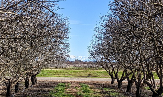 Madera Other | Beautiful house on Almond & Pistachio Farm